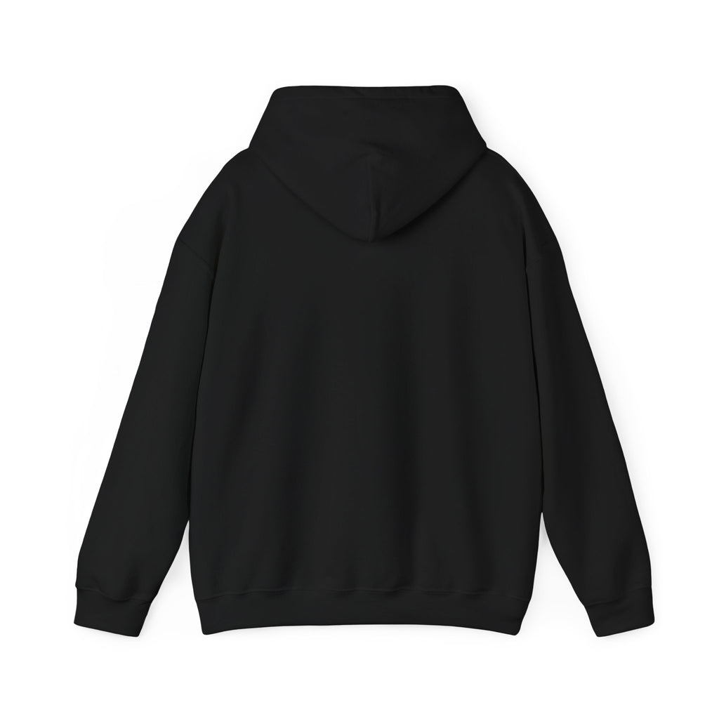 Developer Hoodie - "404: Sleep Not Found"