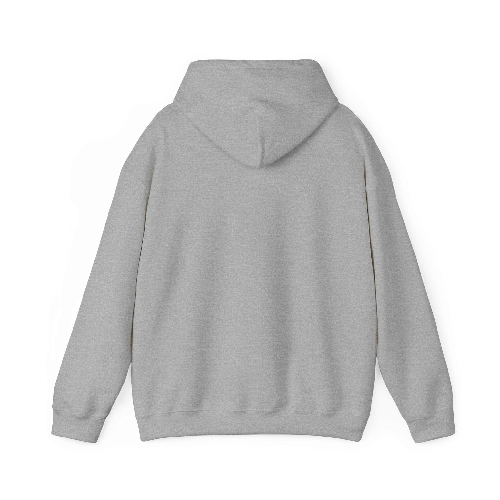 Developer Hoodie - "404: Sleep Not Found"