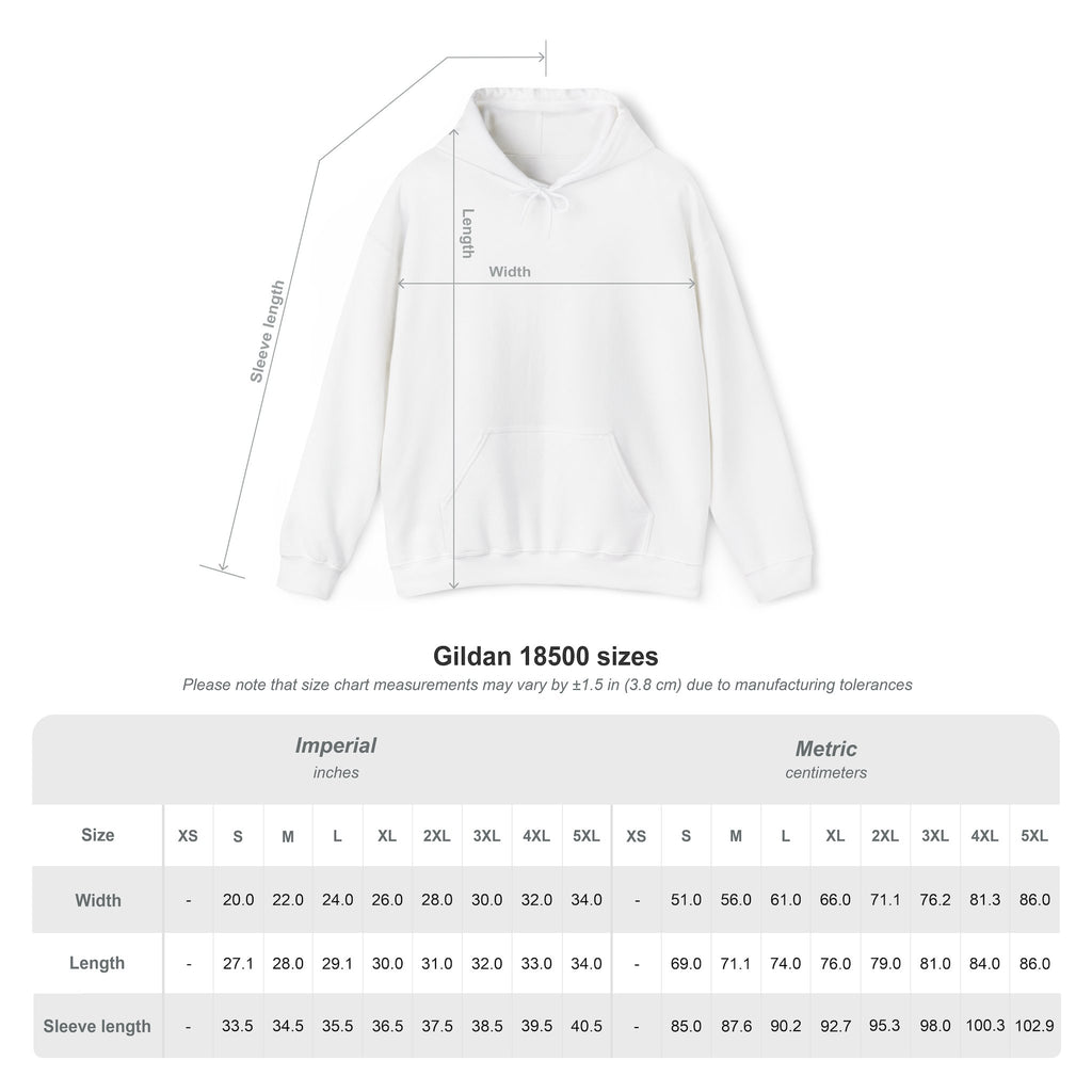 Developer Hoodie - "404: Sleep Not Found"